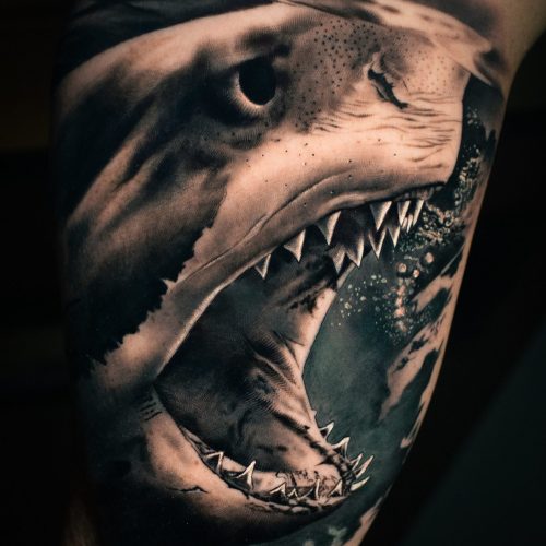 E8E0DD1A-6BB2-4573-B6C9-7891D241A313